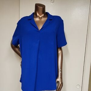 Like New Hadley Radley Electric Blue Blouse